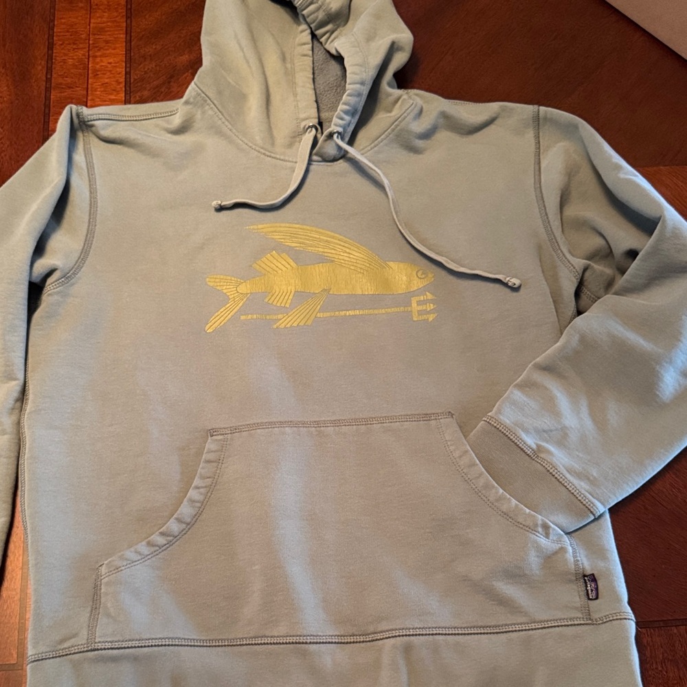 Patagonia Gray/Green Organic Cotton Hoodie